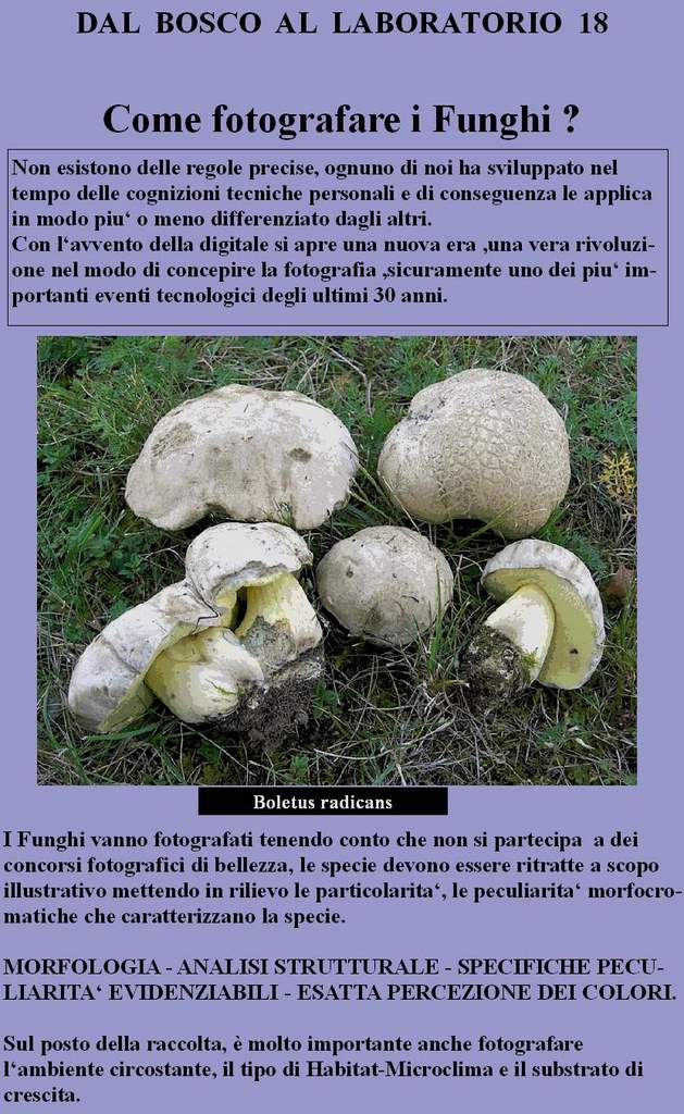Dal Bosco al Laboratorio
